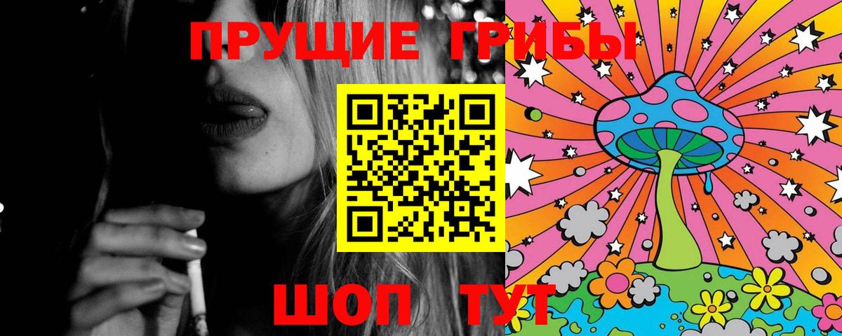 Ревда  Псилоцибиновые грибы MAGIC MUSHROOMS  Вход с VPN  Псилоцибиновые грибы GOLDEN TEACHER 